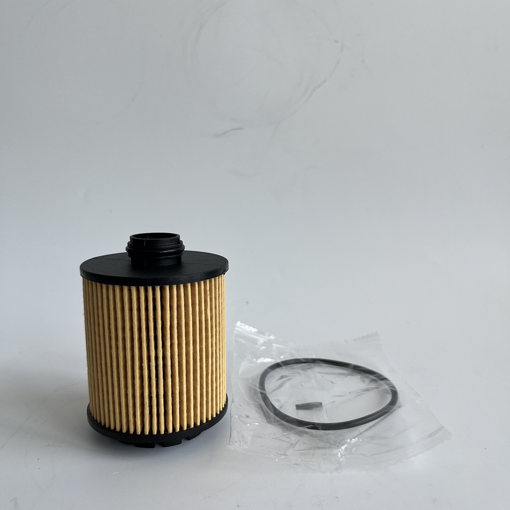 Hu7043z 1612565980 filtru d'oliu per petroot